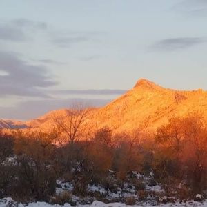 Meet your Posher, Frank